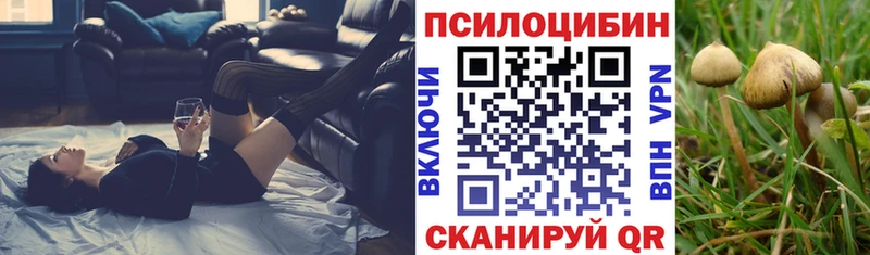 Галлюциногенные грибы Magic Shrooms Тверь